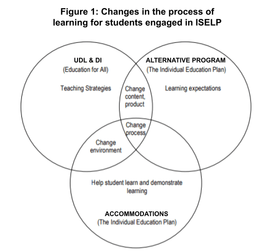 Venn diagram of the changes in the learning that take place through accommodations, UDL and DI, and the alternative program